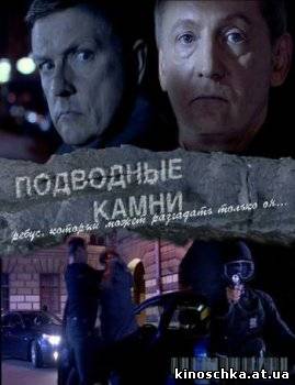 Подводные камни 2010